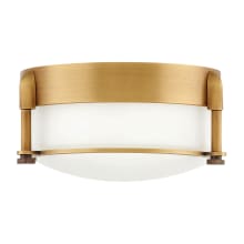 Colbin 7" Wide Integrated LED Flush Mount Ceiling Fixture