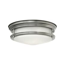 2 Light Indoor Flush Mount Ceiling Fixture from the Hadley Collection