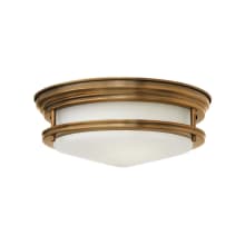 2 Light Indoor Flush Mount Ceiling Fixture from the Hadley Collection