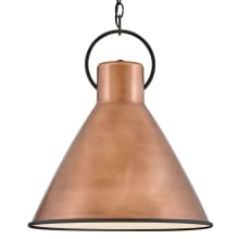 Winnie 1 Light 18" Wide Pendant