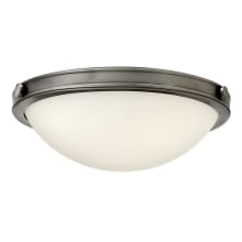 2 Light Flush Mount Ceiling Fixture from the Maxwell Collection
