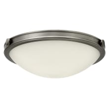Maxwell Single Light 19" Wide Integrated LED Flush Mount Bowl Ceiling Fixture with Etched Opal Glass Shade