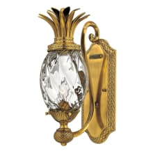 1 Light 14.5" Height Indoor Wall Sconce from the Plantation Collection