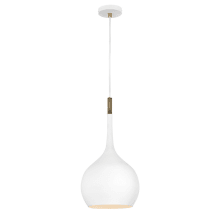 Ziggy Single Light 12" Wide Pendant