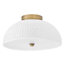 Devon 2 Light 13" Wide LED Semi-Flush Ceiling Fixture with Patterned Etched Glass Shade