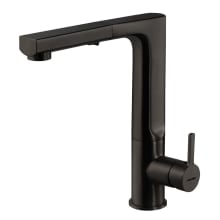 Ascend Pull-Out Kitchen Faucet with CeraDox Lifetime Technology