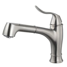 Surge Pull-Out Kitchen Faucet with CeraDox Lifetime Technology