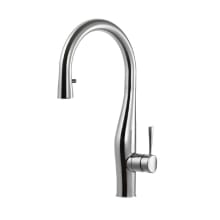 Vision Hidden Pull-Down Kitchen Faucet with CeraDox Lifetime Technology