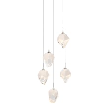 Chrysalis 5 Light 16" Wide Multi Light Pendant