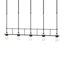 Erlenmeyer 5 Light 48" Wide Linear Short Length Chandelier