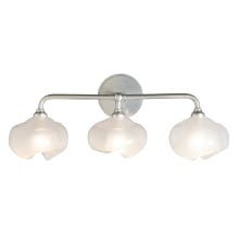 Ume 3 Light 22" Wide Vanity Light - Sterling Finish with Sterling Accents and Frosted Glass Shades