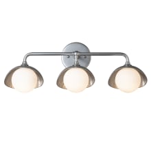 Brooklyn 3 Light 22" Wide Vanity Light - Sterling Finish with Sterling and Frosted Glass Shades