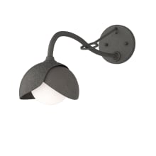 Brooklyn 10" Tall Bathroom Sconce - Natural Iron Finish with Dark Smoke Accents and Frosted Glass Shade