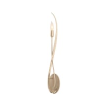 Willow 26" Tall Wall Sconce