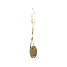 Willow 26" Tall Wall Sconce