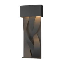 Tress 23" Tall LED Outdoor Wall Sconce