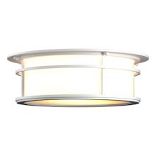Province 2 Light 15" Wide Flush Mount Drum Outdoor Ceiling Fixture
