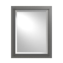 Metra 28" x 22" Rectangular Beveled Metal Accent Mirror