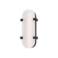 Skylar Single Light 14" Tall LED Wall Sconce