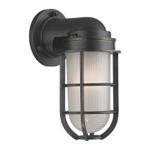 Carson Single Light 10" Tall Outdoor Wall Sconce