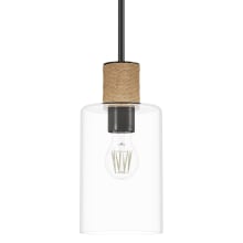 Vanning 6" Wide Mini Pendant with Rope Accents