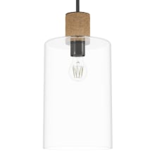 Vanning 9" Wide Mini Pendant with Rope Accents
