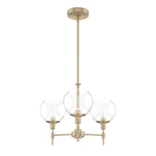 Xidane 3 Light 19" Wide Chandelier with Clear Glass Shades