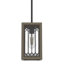 Chevron 6" Wide Mini Pendant with Clear Seeded Glass Shade