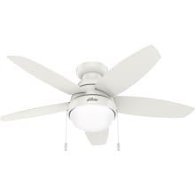 Lilliana 44" 5 Blade LED Indoor Ceiling Fan