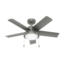 Seawall 44" 5 Blade Indoor / Outdoor LED Ceiling Fan