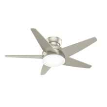 Isotope 44" 5 Blade LED Indoor Ceiling Fan with Wall Control