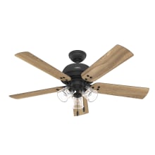 Shady Grove 52" 5 Blade Hanging Indoor LED Ceiling Fan