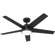 Skyflow 52" 5 Blade Indoor / Outdoor LED Ceiling Fan with Frosted Glass Shade