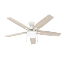 Anisten 52" 5 Blade Indoor LED Ceiling Fan with Frosted Glass Shade