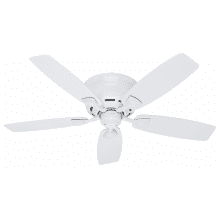 48" Indoor / Outdoor Ceiling Fan - 5 Reversible Blades