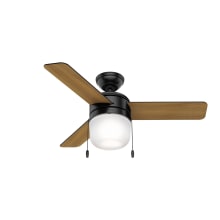 Acumen 42" 3 Blade LED Indoor Ceiling Fan