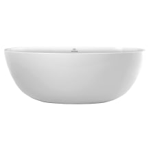 Alamo 58" Free Standing Hydroluxe SS Air Tub with Center Drain, Drain Assembly, and Overflow