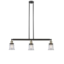 Small Canton 3 Light 39" Wide Linear Chandelier