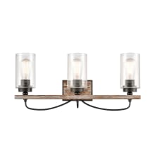 Paladin 3 Light 24" Wide Vanity Light