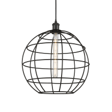 Lake Placid 16" Wide Globe Cage Pendant with Shade