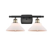 Orwell 2 Light 18" Wide Bathroom Vanity Light