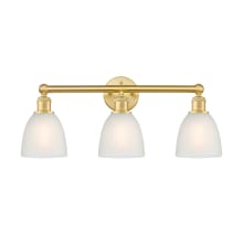 Castile 3 Light 24" Wide Vanity Light