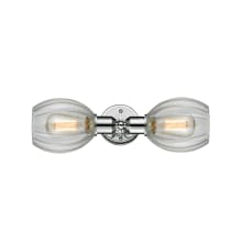 Melon 2 Light 21" Wide Bathroom Vanity Light