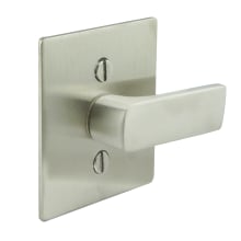 Privacy Latch for Sliding Barn Door with TT15 ADA Lever, Square Rose and 2-1/4" Backset