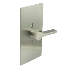 Privacy Latch for Sliding Barn Door with TT17 ADA Lever, Rectangular Rose and 3-1/2" Backset