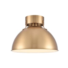 Zynn 12" Wide Semi-Flush Ceiling Fixture