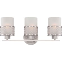 Aviary 3 Light 19" Wide Bathroom Vanity Light with Frosted Glass Shades and Metal Accents