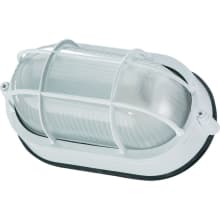 Beret 1 Light Outdoor Wall Sconce with Frosted Glass Shade