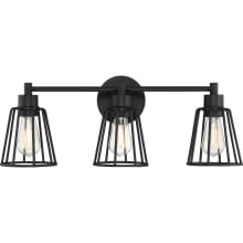 Ellsworth 3 Light 24" Wide Bathroom Vanity Light