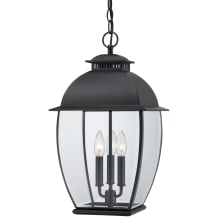 Emmet 3 Light 12" Wide Outdoor Pendant Lantern with Clear Glass